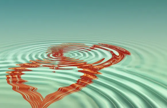 Rex Casino Ondersteuning